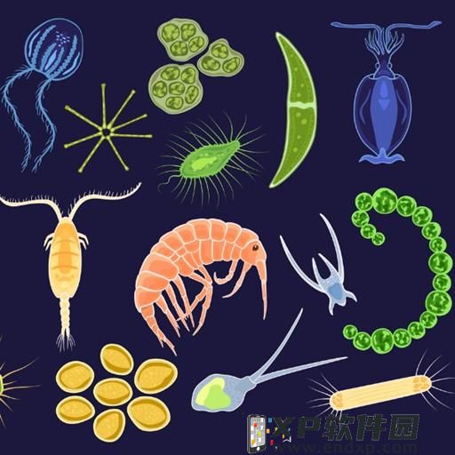 夏天的高档感，必定少不了“皇室蓝”