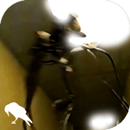 帕奎塔:我完全否认赌球指控,并将竭尽全力为自己洗清罪名